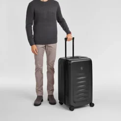 Spectra 3.0 Trunk Large Case